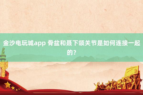 金沙電玩城app 骨盆和聶下頜關(guān)節(jié)是如何連接一起的？