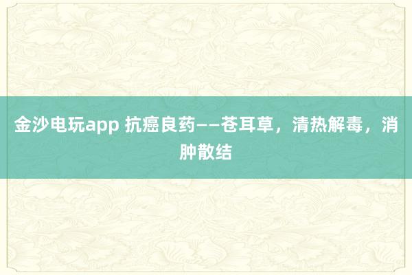 金沙電玩app 抗癌良藥——蒼耳草，清熱解毒，消腫散結
