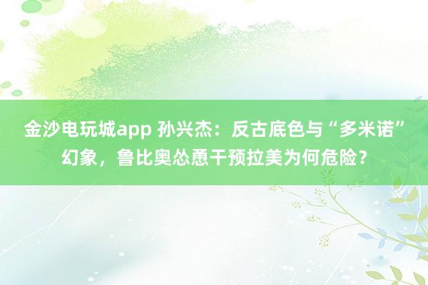 金沙電玩城app 孫興杰：反古底色與“多米諾”幻象，魯比奧慫恿干預拉美為何危險？