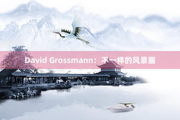 David Grossmann：不一樣的風景畫