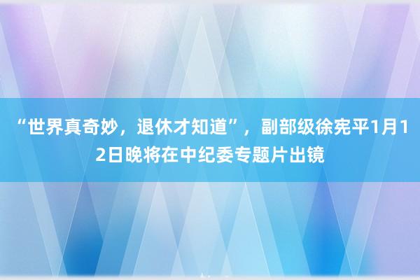 “世界真奇妙，退休才知道”，副部級(jí)徐憲平1月12日晚將在中紀(jì)委專(zhuān)題片出鏡