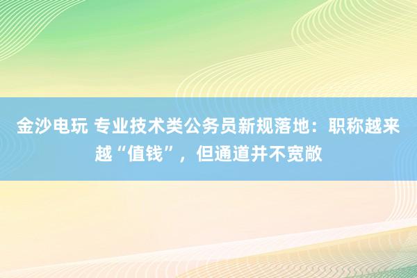 金沙電玩 專業技術類公務員新規落地：職稱越來越“值錢”，但通道并不寬敞
