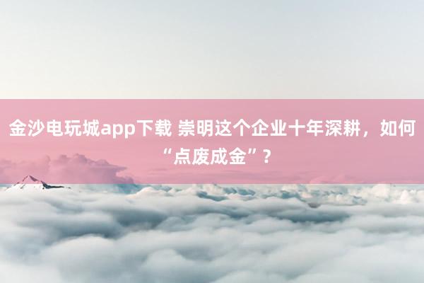 金沙電玩城app下載 崇明這個(gè)企業(yè)十年深耕，如何 “點(diǎn)廢成金”？