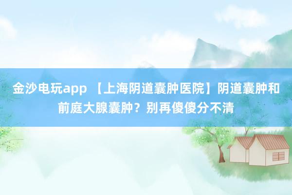 金沙電玩app 【上海陰道囊腫醫院】陰道囊腫和前庭大腺囊腫？別再傻傻分不清