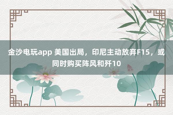 金沙電玩app 美國出局，印尼主動放棄F15，或同時購買陣風和殲10