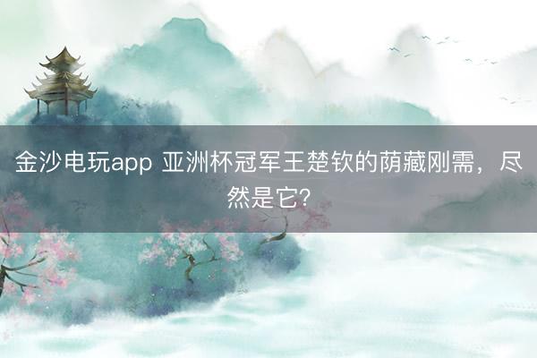 金沙電玩app 亞洲杯冠軍王楚欽的蔭藏剛需，盡然是它？