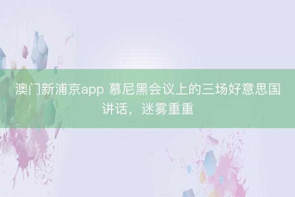 澳門新浦京app 慕尼黑會(huì)議上的三場好意思國講話，迷霧重重